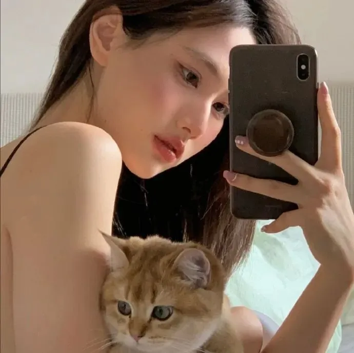 【治愈系猫奴电影】《假如猫从世界上消失了》佐藤健宫崎葵：如果用世界上的东西交换寿命，你会怎么选？